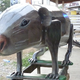 Image for article titled Ghana's coffin art lets people bury their loved ones in style